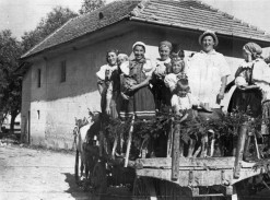 Archív - história